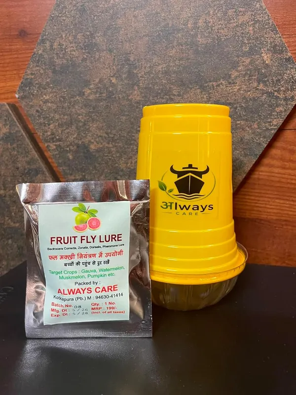 Fruit_Fly_Trap_With_Pheromone_Lure