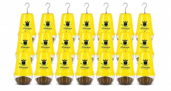 Always_Care_Fruit_Fly_Trap_With_Pheromone_Lure_Pack_Of_20