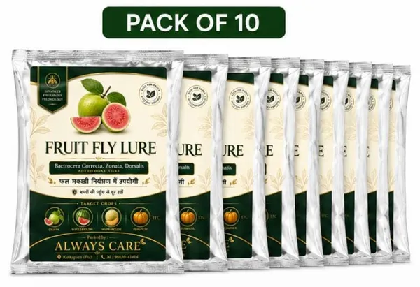Always_Care_Fruit_Fly_Pheromone_Lure_Pack_Of_10