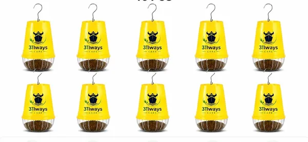 Always_Care_Fruit_Fly_Trap_With_Pheromone_Lure_Pack_Of_10