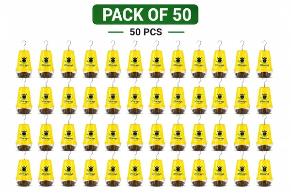 Always_Care_Fruit_Fly_Trap_With_Pheromone_Lure_Pack_Of_50