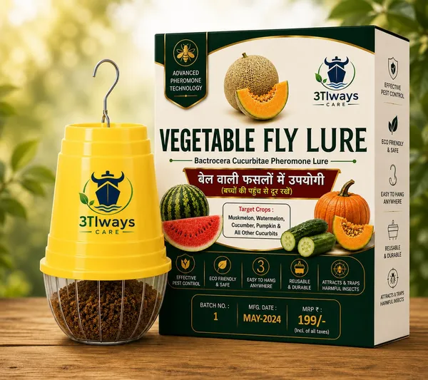 Always_Care_Bactrocera_Cucurbitae_Vegetable_Fly_Trap_With_Lure_Pack_Of_5