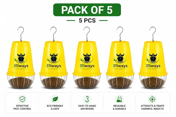 Always_Care_Bactrocera_Cucurbitae_Vegetable_Fly_Trap_With_Lure_Pack_Of_5