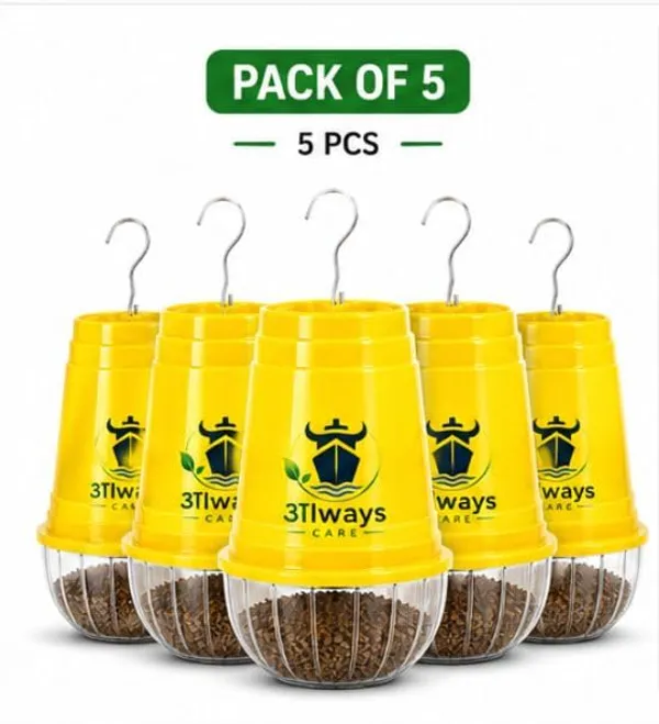 Always_Care_Bactrocera_Cucurbitae_Vegetable_Fly_Trap_With_Lure_Pack_Of_5