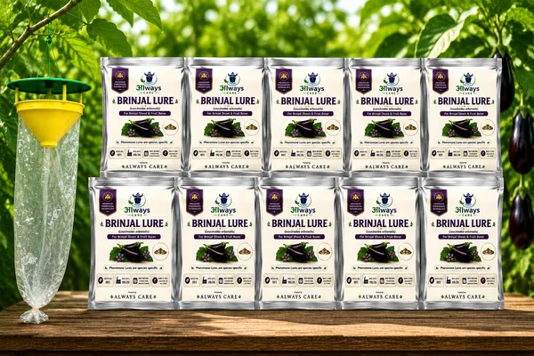 Brinjal_Pheromone_Lure_Only