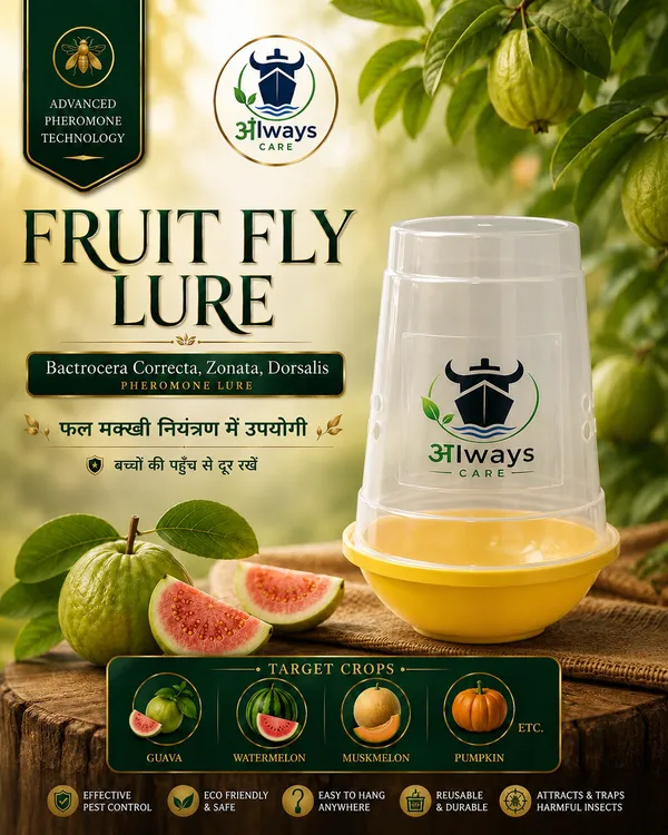 Always_Care_Fruit_Fly_Trap_2.O