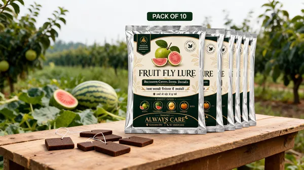 Always_Care_Fruit_Fly_Pheromone_Lure_Pack_Of_10