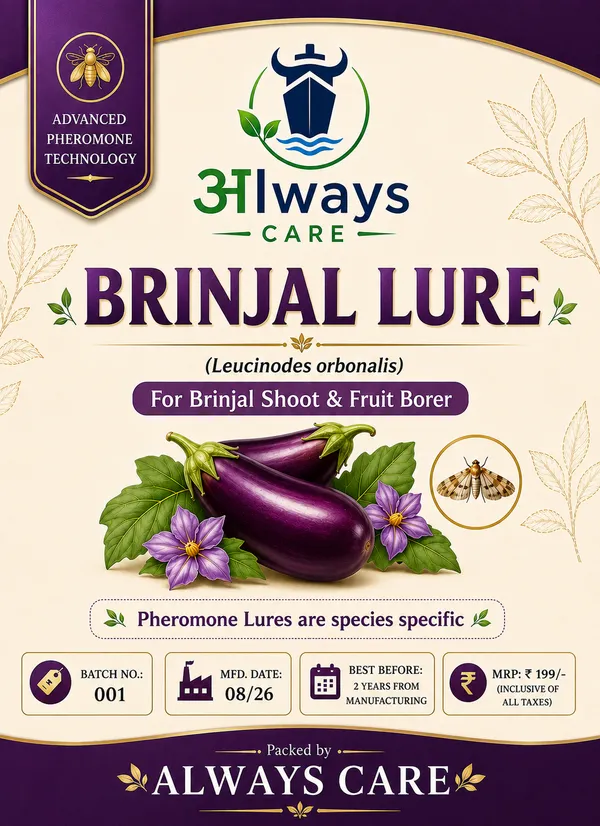 Always_Care_Brinjal_Trap_