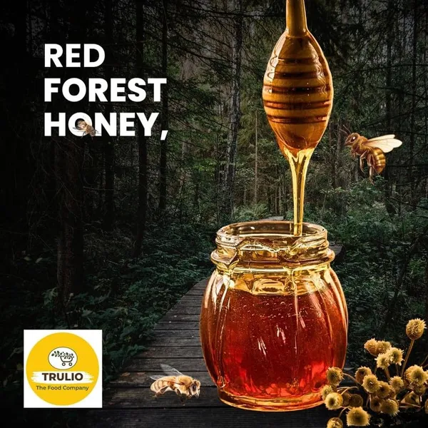 Honey___Pack_of_3