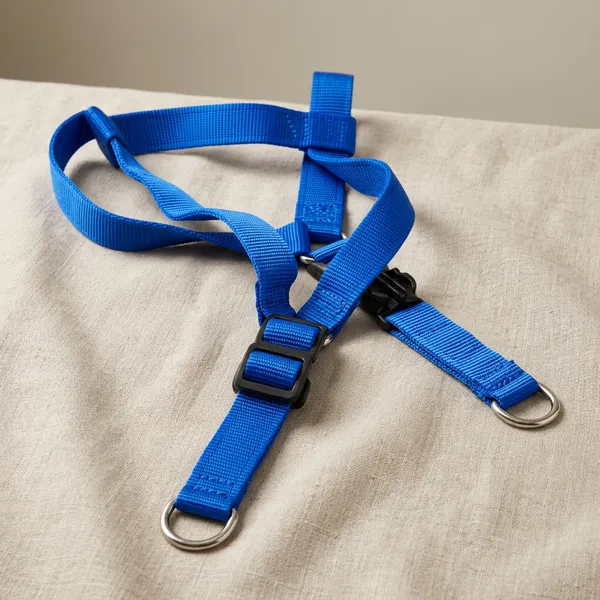 Pawfect_Care_Adjustable_Pet_Blue_Harness_(Small)