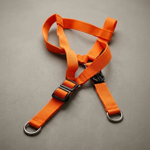 Pawfect_Care_Adjustable_Pet_Orange_Harness_(Small)