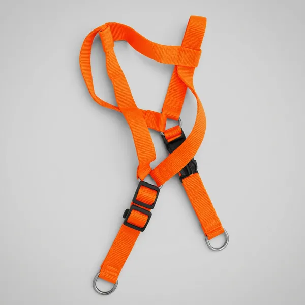 Pawfect_Care_Adjustable_Pet_Orange_Harness_(Small)
