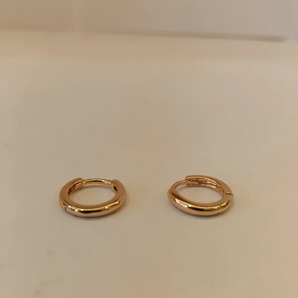Gold_Tone_Hoop_Earrings_for_Women