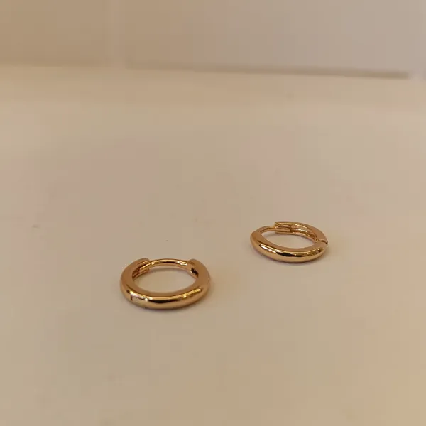 Gold_Tone_Hoop_Earrings_for_Women