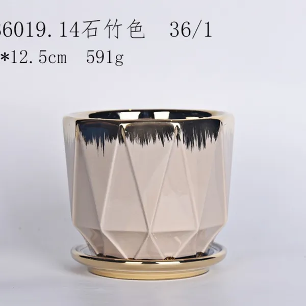 Light-Toned_And_Gold-Tone_Ceramic_Planter_Pot_Living_Areas