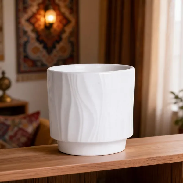 White_Ceramic_Planter_Pot_Living_Areas
