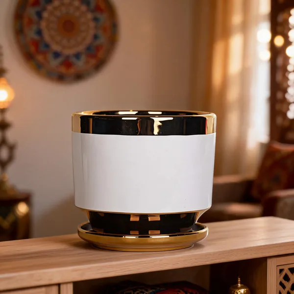 Multicolor_Ceramic_Planter_Pot_Living_Areas