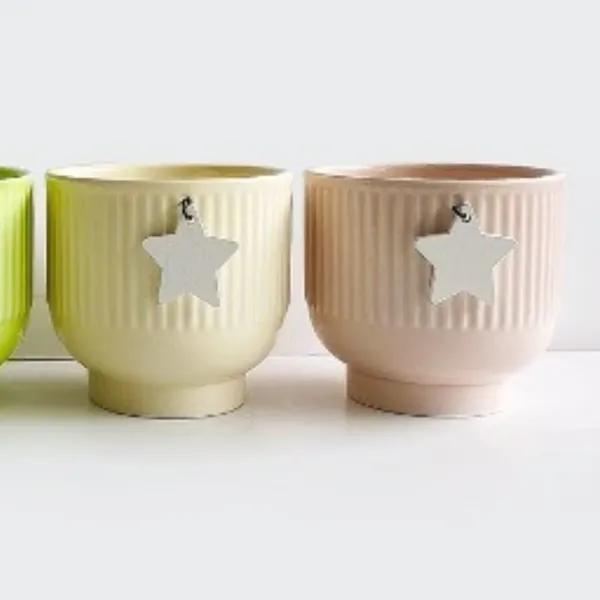 Ribbed_Star_Design_Decorative_Planter_Pots