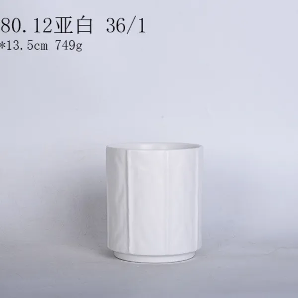 White_Ceramic_Planter_Pot_Living_Areas