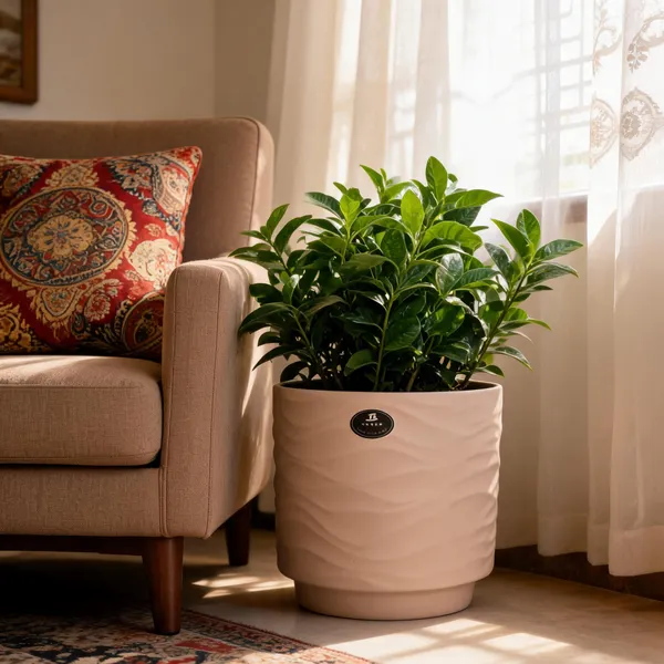 Beige_Ceramic_Plant_Pot_Living_Areas