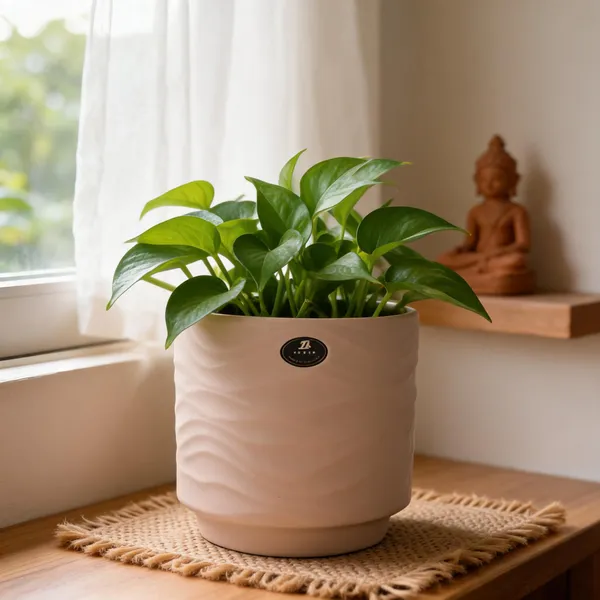 Beige_Ceramic_Plant_Pot_Living_Areas