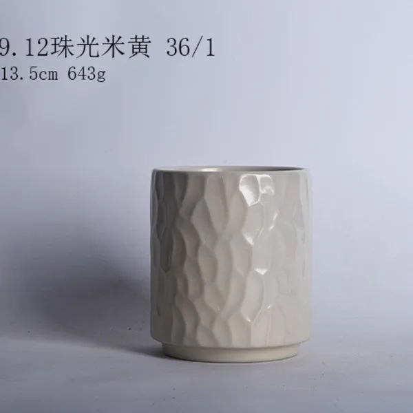 Cream_Ceramic_Plant_Pot_Living_Areas
