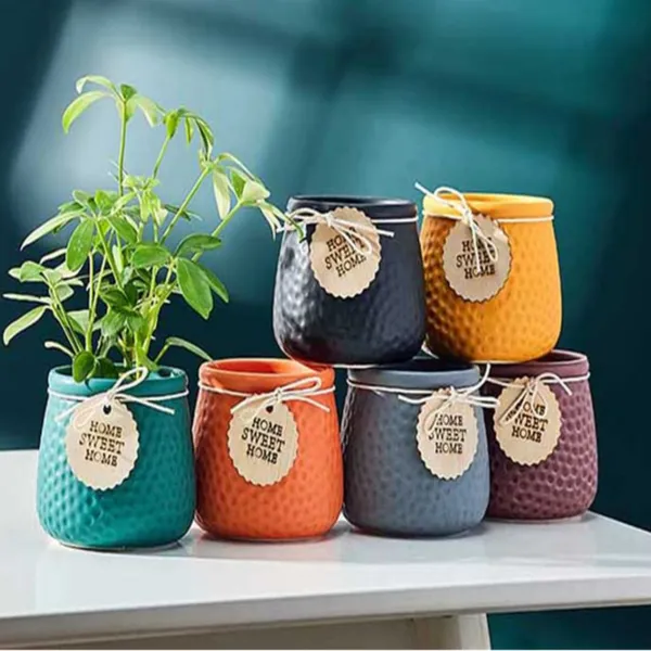 Multicolor_Ceramic_Plant_Pot_Living_Areas_Pack_Of_6