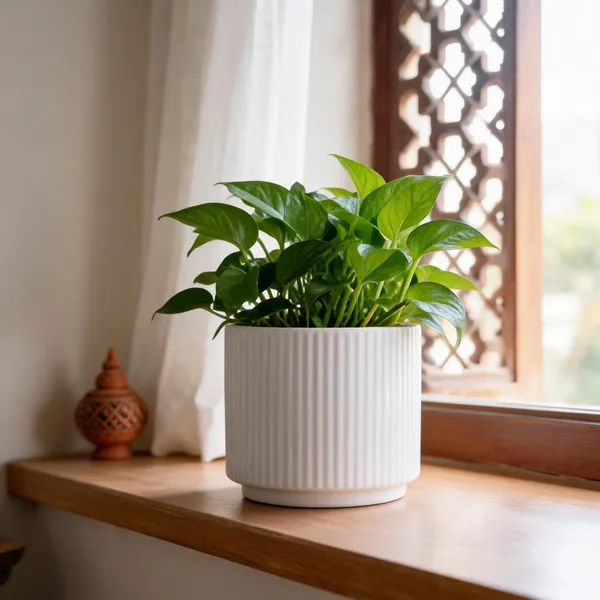 White_Ceramic_Plant_Pot_Living_Areas