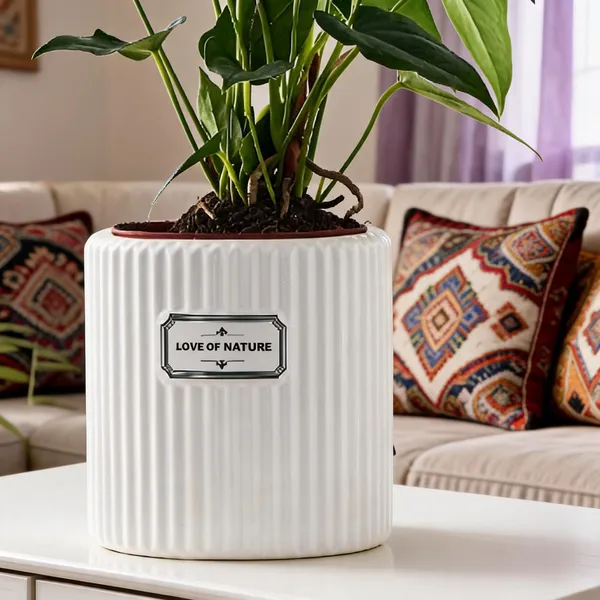 White_And_Green_Ceramic_Planter_Pot_Living_Areas