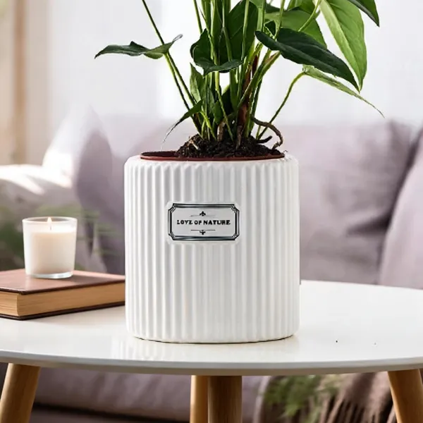 White_And_Green_Ceramic_Planter_Pot_Living_Areas