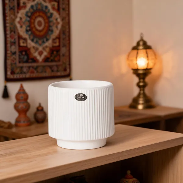 White_Ceramic_Planter_Pot_Living_Areas