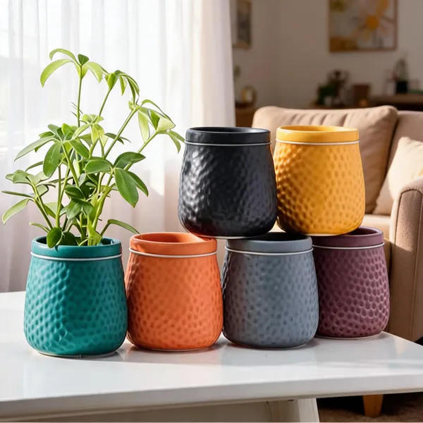 Multicolor_Ceramic_Plant_Pot_Living_Areas_Pack_Of_6