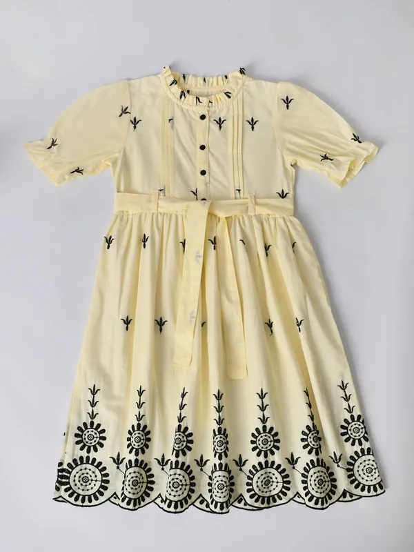 Bella_Moda_Cotton_Woven_Schiffli_Embroidered_Fit_And_Flare_Dress