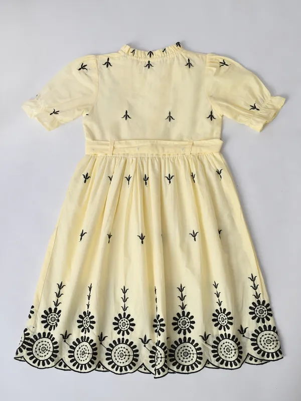 Bella_Moda_Cotton_Woven_Schiffli_Embroidered_Fit_And_Flare_Dress