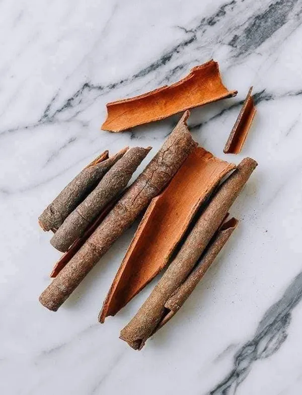 Cinnamon_Live_Plant_For_Home_Garden