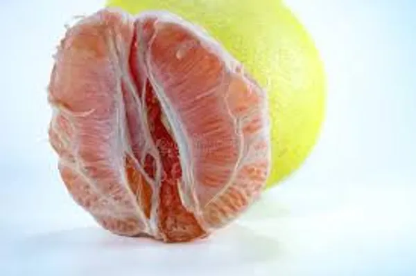 Pink_Flesh_Pomelo_Fruiting_Live_Plant