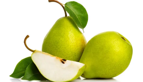 Pear_Fruit_Live_Plant_Sapling_In_Grow_Bag