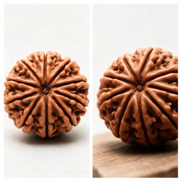 Krystalsnmore_10_Mukhi_Rudraksha_Combo