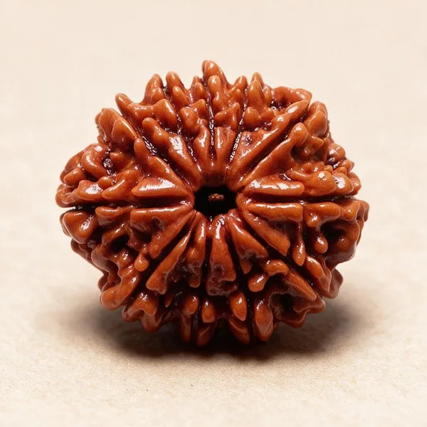 Krystalsnmore_11_Mukhi_Rudraksha_Combo