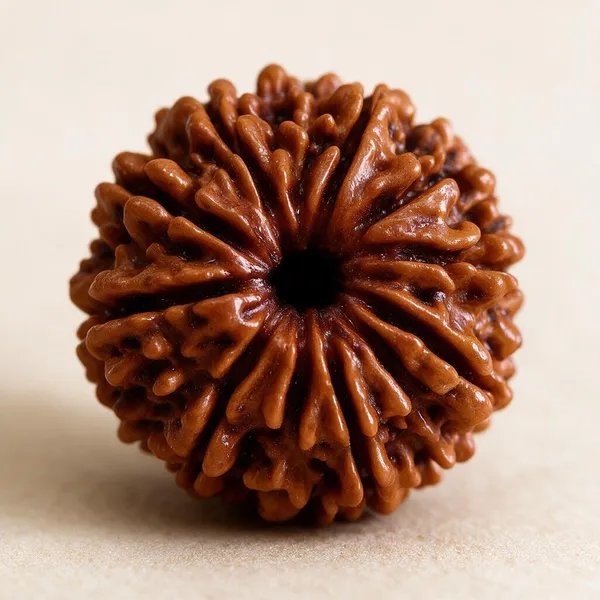 Krystalsnmore_12_Mukhi_Rudraksha_Combo