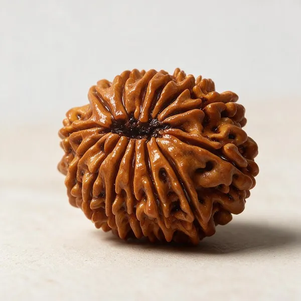 Krystalsnmore_14_Mukhi_Rudraksha_Combo