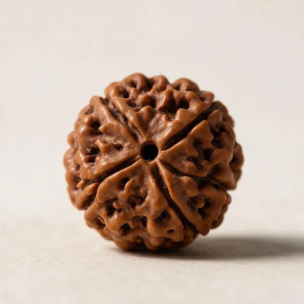 Krystalsnmore_4_Mukhi_Rudraksha_Combo