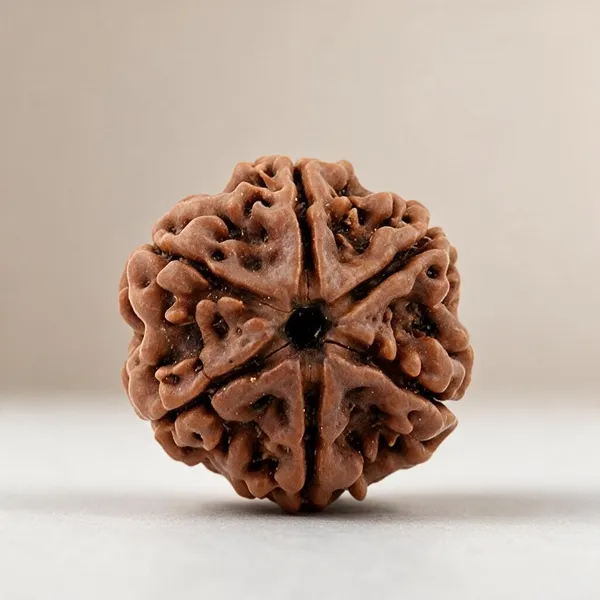 Krystalsnmore_6_Mukhi_Rudraksha_Combo