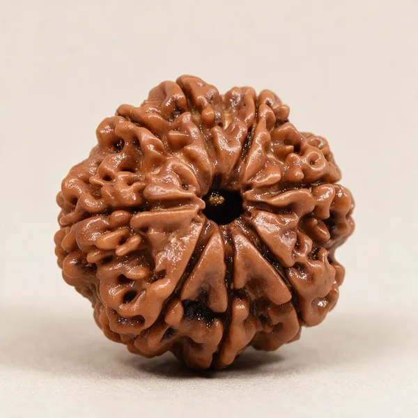 Krystalsnmore_8_Mukhi_Rudraksha_Combo