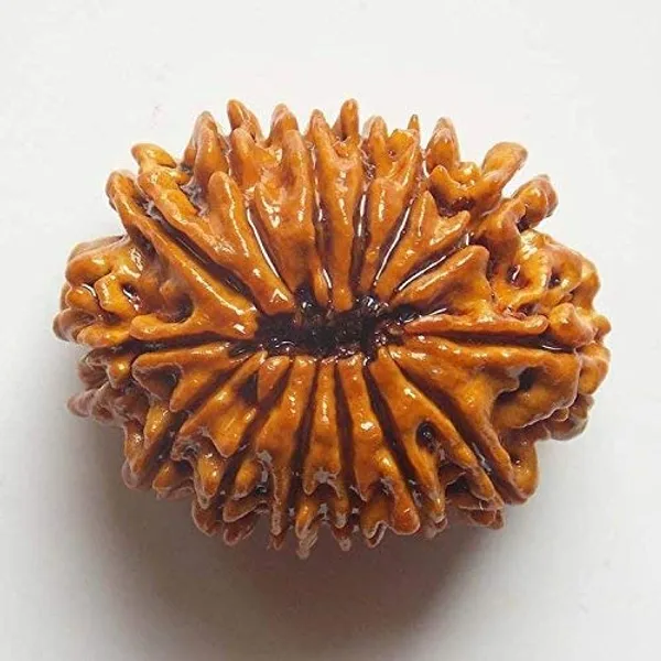 Krystalsnmore_14_Mukhi_Rudraksha_Combo