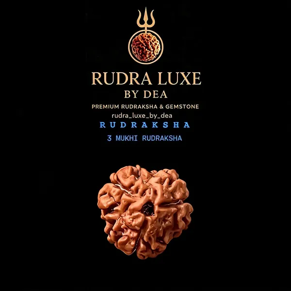 Krystalsnmore_3_Mukhi_Rudraksha