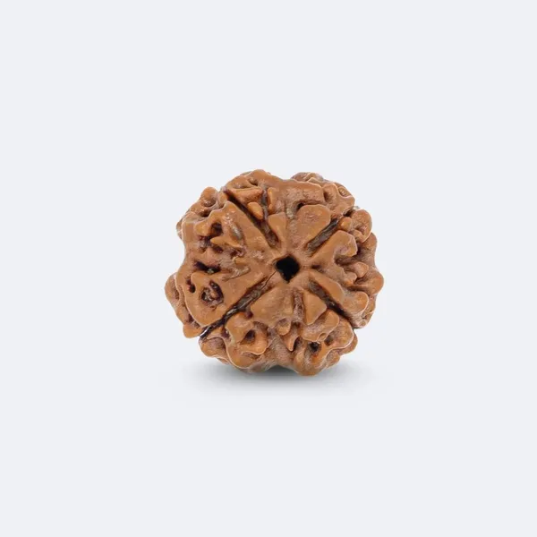 Krystalsnmore_4_Mukhi_Rudraksha_Combo