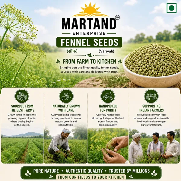 Natural_Whole_Fennel_Seeds_Saunf_250G_-_Pack_of_2