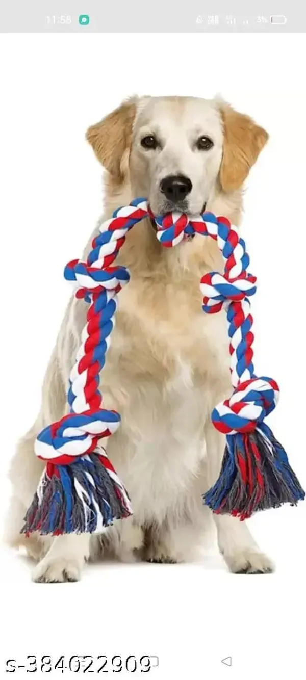 Pawezzy_Multicolor_Dog_Chew_Toys