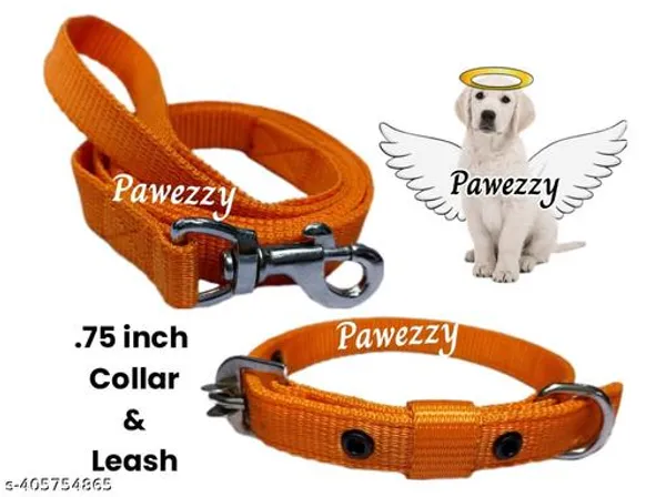 Pawezzy_Orange_Dog_Leash_And_Collar_Set